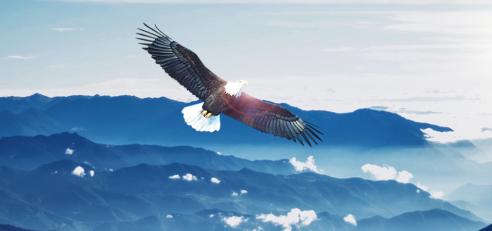 沈陽黄瓜视频网站免费观看